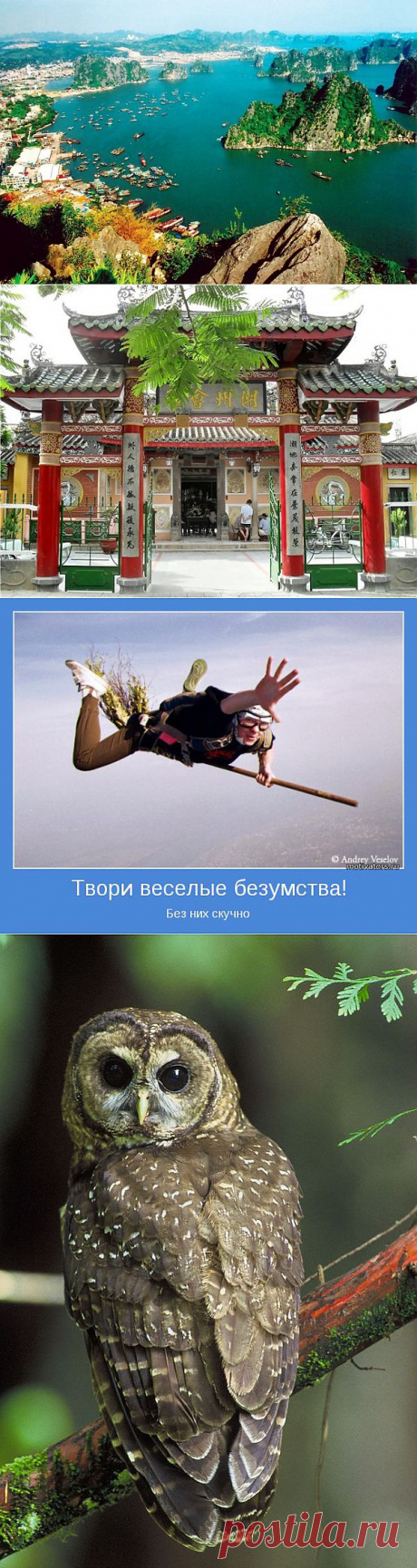 ИНТЕРЕСНОЕ | Записи в рубрике ИНТЕРЕСНОЕ | МНОГО РУКОДЕЛЬНОГО,ПОЛЕЗНОГО,ИНТЕРЕСНОГО