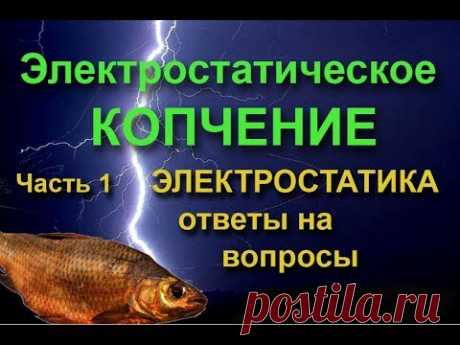 ЭЛЕКТРОСТАТИЧЕСКОЕ КОПЧЕНИЕ .Ч.1. Электростатика, ответы на вопросы