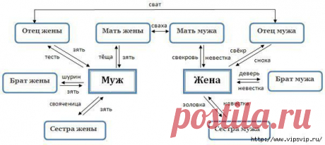 Как не запутаться в родственниках?