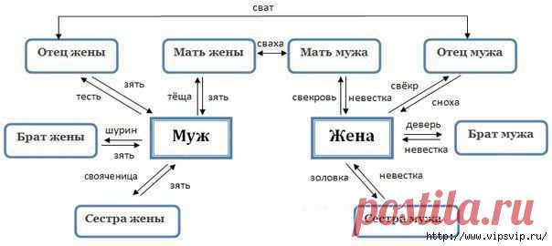 Как не запутаться в родственниках?