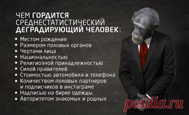 Делайте выводы, Дамы и Господа) | thePO.ST