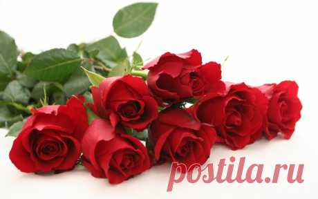 Rose Flowers Free (id: 107651) – BUZZERG