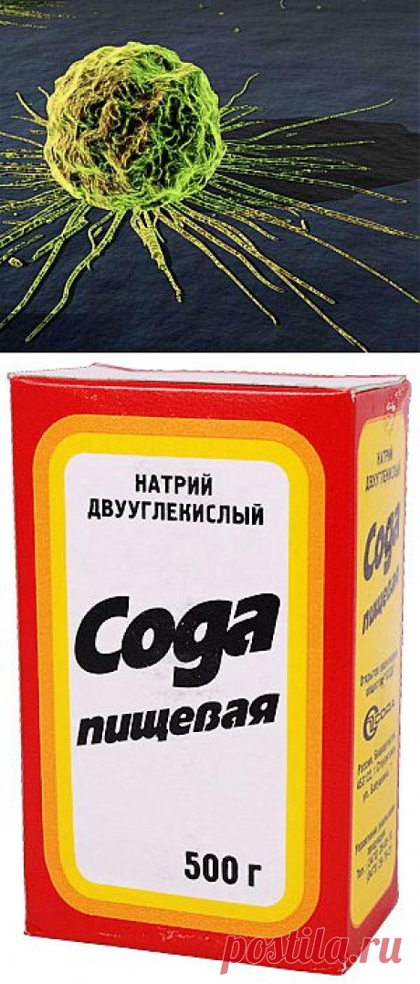 Вы до сих пор верите что, рак не излечим?Попробую вас переубедить... | НАУКА И ЖИЗНЬ