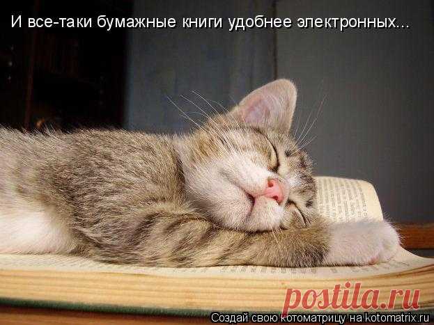 Котоматрица: Лучшие за апрель 2015