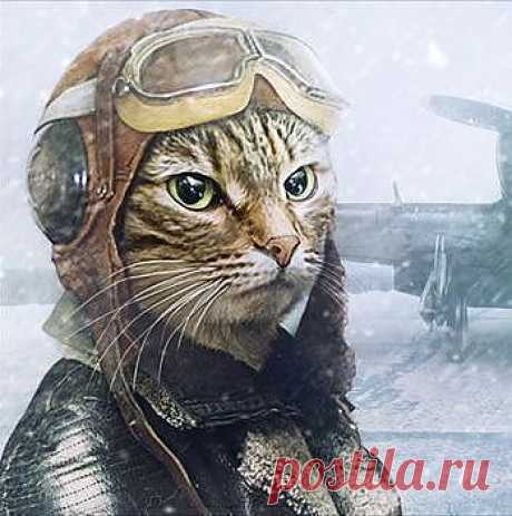 -мне с верху видно всё ты так и знай...а толку то? ЕСЛИ САМ-МЕРЗАВЕЦ! МУЖЧИНА  ДЕЛАМИ СВОИМИ ПАРШИВ..с такого ПОРЯДОЧНОГО ДЛЯ СЕМЬИ НЕ ПОЛУЧИТЬ ..а гнида, как была так  ГНИДОЙ И ОСТАНЕТСЯ..А ВЕРНОСТЬ И ЛЮБОВЬ НАДО Верным МУЖЬЯМ ХРАНИТЬ, кто сам содержит от иголки семью  на уровне большем,ЧЕМ Жена ДО НЕГО ИМЕЛА САМА.Вот тут надо, а не проходимцам даже ,если и миллиардер  FORBES ..РАЗНИЦЫ то НЕТ, ЧТО БИЧ, ЧТО  МИЛЛИАРДЕР ПОДЛЕЦОВ ВЕЗДЕ ПОЛНО ! НЕ ОКУПАЕТ их мерзость В СЕМЬЕ кошель золотых