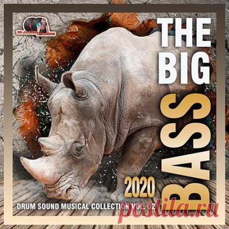 The Big Bass:Drum Sound Vol. 02 (2020) Придержите свои шляпы и шляпки, иначе ураган басов сорвёт их с Вашей головы. Музыка лонгплея подарит Вам отличное настроение и доставит отличные эмоции. А если вы являетесь истинным поклонником электро басс музыки, то здесь вы найдёте для себя много интересного!Категория: CompilationИсполнитель: