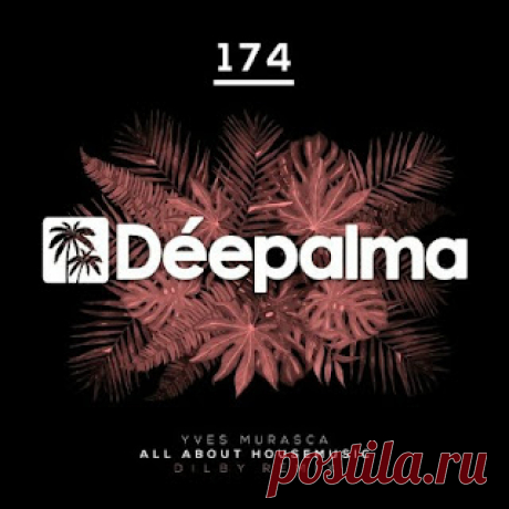 lossless music  : Yves Murasca - All About Housemusic (Dilby Remix)