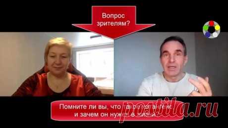 Помогают ли неживые школьные знания в дальнейшей жизни