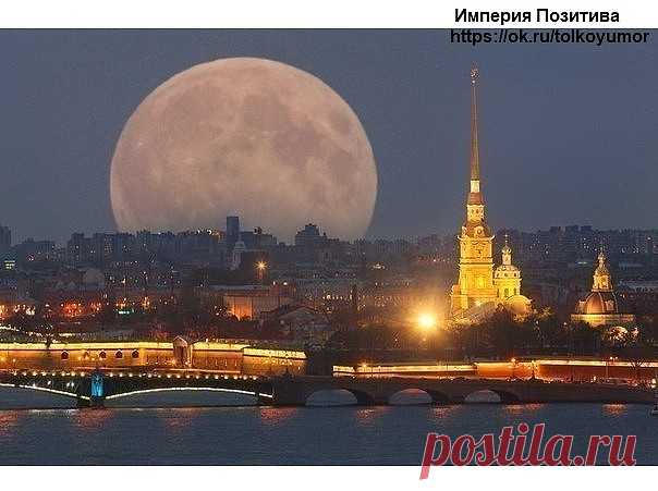 (82) Одноклассники
