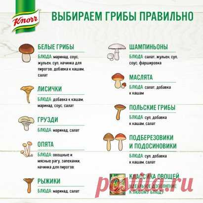 Мир грибов такой огромный, что без помощи знатоков не разобраться! 
Knorr, как никто другой, знает, что потрясающий вкус блюда зависит от правильно подобранных ингредиентов. А вот и подсказка, какому блюду, какие грибы подходят! www.knorr.ru/recipes/detail/14098
#кнорр #рецепты #готовимдома