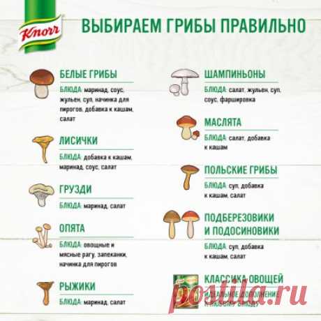 Мир грибов такой огромный, что без помощи знатоков не разобраться! 
Knorr, как никто другой, знает, что потрясающий вкус блюда зависит от правильно подобранных ингредиентов. А вот и подсказка, какому блюду, какие грибы подходят! www.knorr.ru/recipes/detail/14098
#кнорр #рецепты #готовимдома