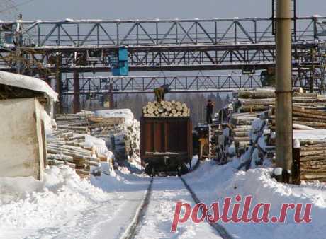 Просмотр фотографии