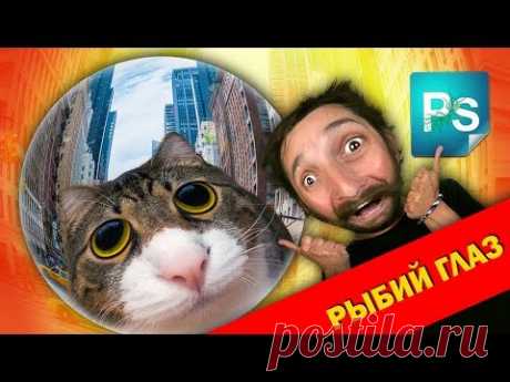 Эффект рыбьего глаза в Фотошоп. Плюс исправление искажения и перспективы