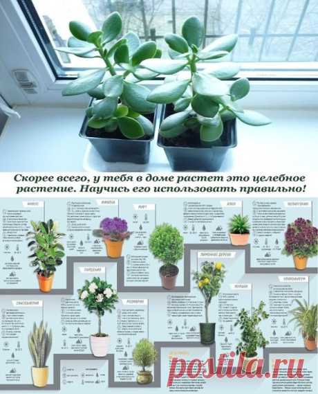 Одноклассники