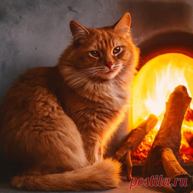 Надежда - OGADANIE.RU