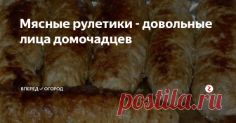 Мясные рулетики - довольные лица домочадцев Итак, получив дозу витаминов из свежих овощей и фруктов, пора порадовать домочадцев порцией белка в виде аппетитных мясных рулетиков.
Нам понадобится:
Свинина - 500 г
Майонез - 3 - 5 ст.л.