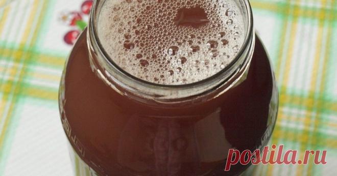 Домашний напиток, который полностью оздоровит организм — Journal women❜s