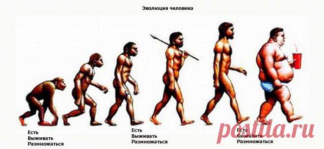 "С глубоко научной точки зрения, украинцы - это высшая раса". Пипец эволюции