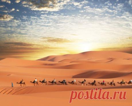 Фотографии пустыни и засухи