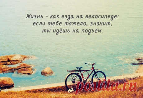 Цитаты, умные мысли / Pinme