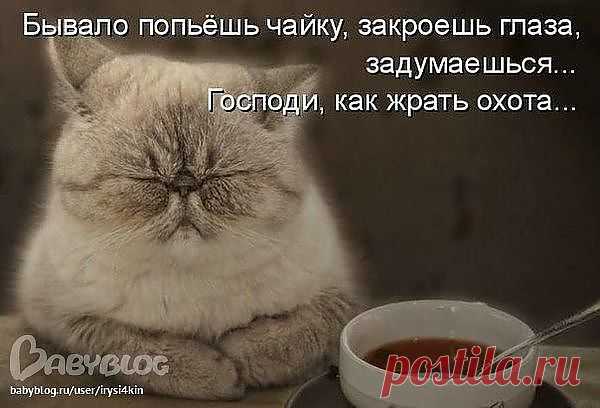 Жрать охота