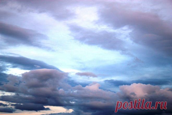 ФОТОМАСТЕРСКАЯ ПРИРОДЫ
Rasim Suleymanli