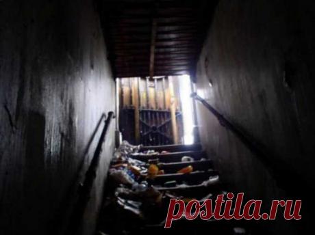 Глаза боятся, а руки делают: Она купила старый общественный туалет и превратила его в квартиру своей мечты — СОВЕТНИК