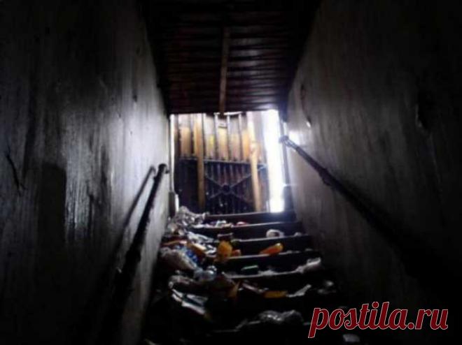 Глаза боятся, а руки делают: Она купила старый общественный туалет и превратила его в квартиру своей мечты — СОВЕТНИК