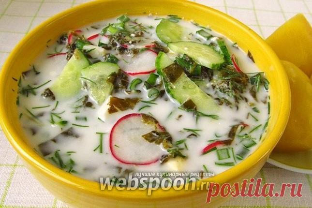 Холодник со щавелем по-белорусски | Рецепт холодника с фото на Webspoon.ru