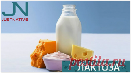 Непереносимость лактозы: миф или реальность?