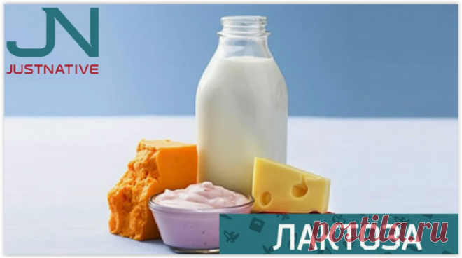 Непереносимость лактозы: миф или реальность?