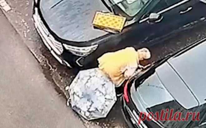 ФСБ показала пенсионерок со спрятанными в шахматах бомбами для военных. Одну из бомб для убийства российских военных украинские спецслужбы замаскировали под набор для игры в шахматы, следует из видео, опубликованного ФСБ.