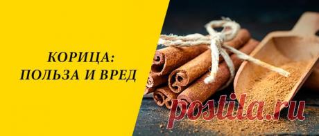 Корица: польза и вред для здоровья организма Корица: разновидности и история, применение в народной медицине, кулинарии, косметологии, польза и вред для здоровья организма.