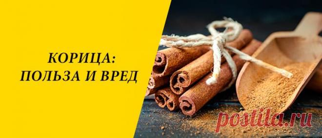 Корица: польза и вред для здоровья организма Корица: разновидности и история, применение в народной медицине, кулинарии, косметологии, польза и вред для здоровья организма.