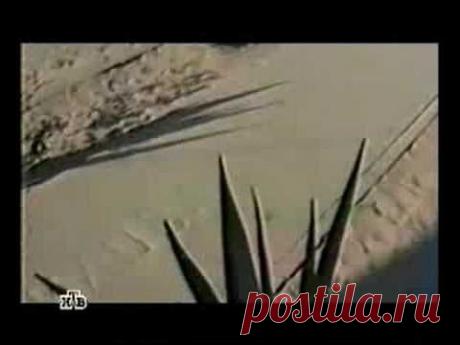 Окопная жизнь. Быт 3/3 - YouTube