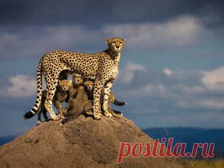 20 лучших фотографий, которые покорили нас в 2015 году