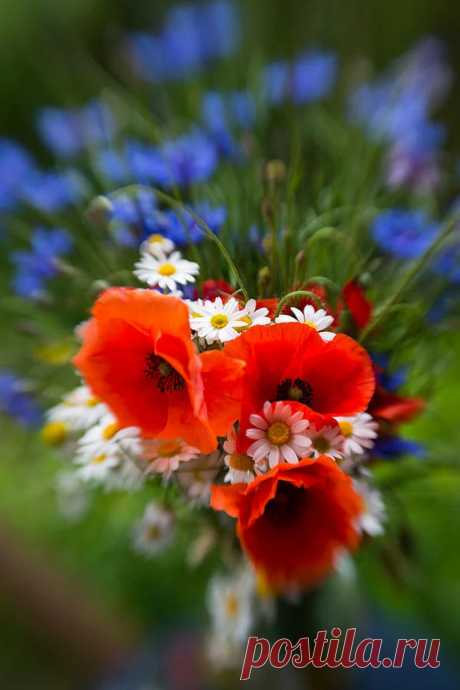 Оксана Преснова - Google+