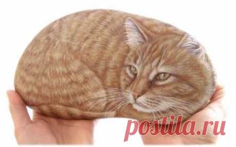 Leoni, tigri, elefanti, roditori, pinnipedi e cetacei dipinti su pietra dall'artista Roberto Rizzo.