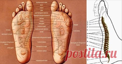 ПРОЕКТ ДОЛГОЛЕТИЯ — ТЕПЕРЬ Я ВСЕГДА БУДУ МАССИРОВАТЬ СТОПЫ! » MAKATAKA