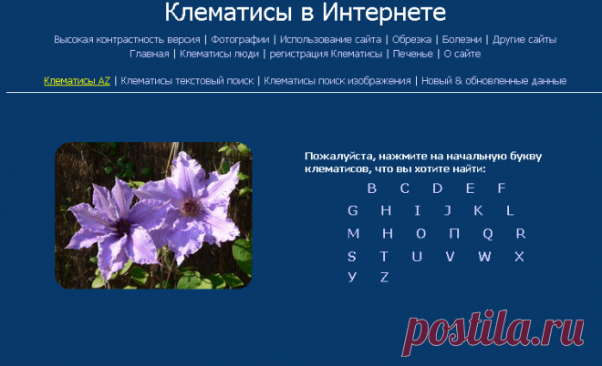Клематисы в Интернете :: AZ