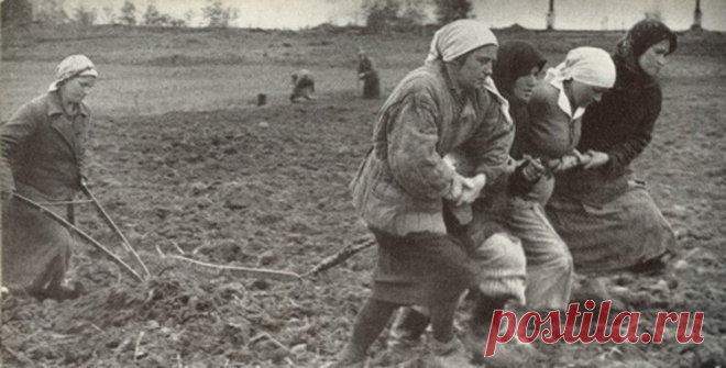 Бабы. Рассказ. До слез!