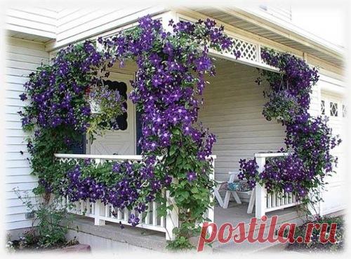 Мастер-классы | Домохозяйка