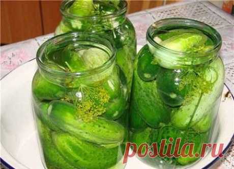 Огурчики казачьи похмельные | Домашняя кулинария