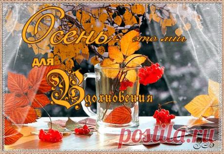 Осень - миг для вдохновления. | ЭКСКЛЮЗИВ МАСТЕРОВ АНИМАЦИИ | Группы Мой Мир