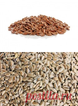 Семена льна купить в Москве | Шеф Орех - интернет-магазин орехов и сухофруктов.