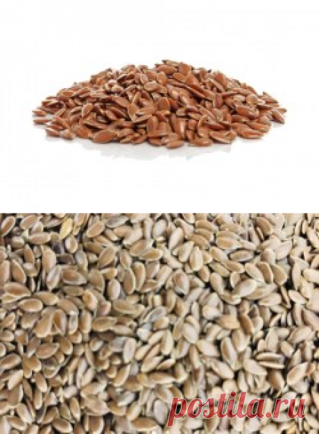 Семена льна купить в Москве | Шеф Орех - интернет-магазин орехов и сухофруктов.
