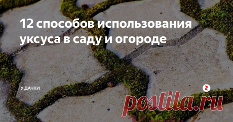 12 способов использования уксуса в саду и огороде Как уксус использовать на даче
Это экологически чистый продукт, а главное, он недорогой. Чтобы применить уксус на огороде или в саду, его необходимо развести. Если на этикетке написано 70 %, то к одному объему уксусной эссенции нужно добавить 12 объемов воды. Если у вас 250 мл 70 % уксуса, то можете его развести в трех литрах воды, а 500 мл бутылочку в шести литрах. Нам нужна концентрация, равная