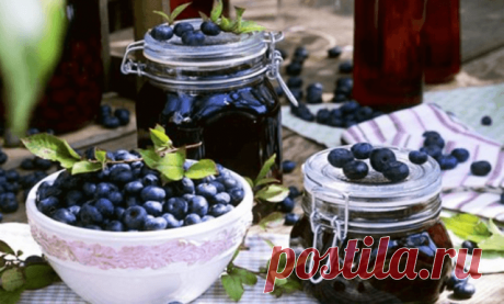 Заготовка черники на зиму: секреты профессионалов | 6 соток