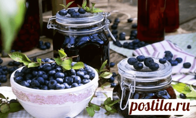 Заготовка черники на зиму: секреты профессионалов | 6 соток
