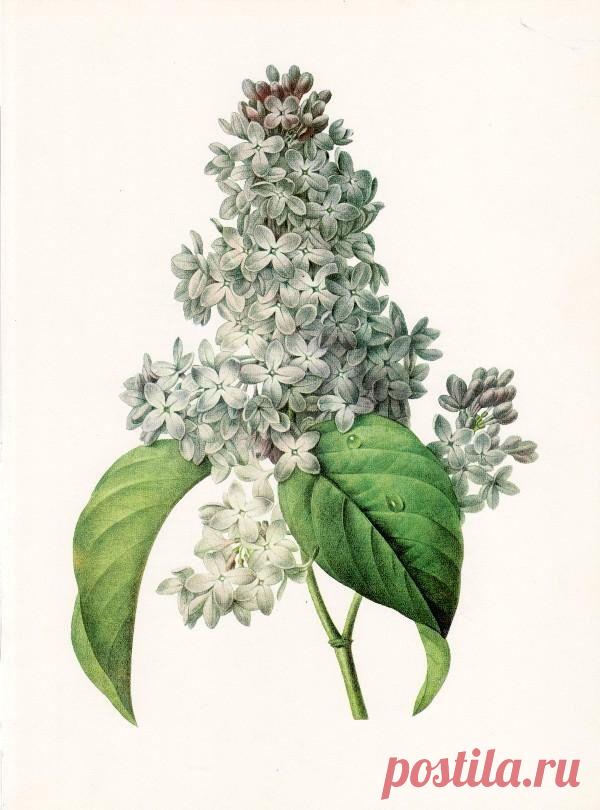 Найдено на сайте manualidades.facilisimo.com.